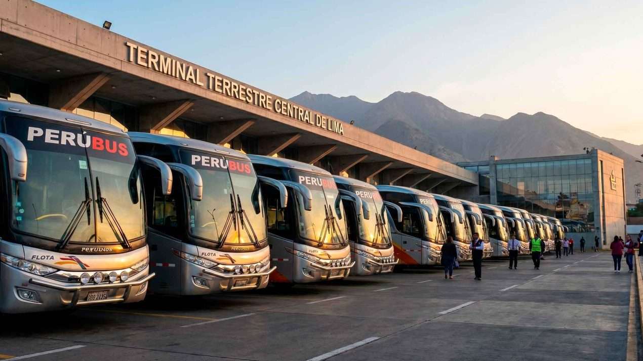 Especialistas en repuestos y accesorios para buses