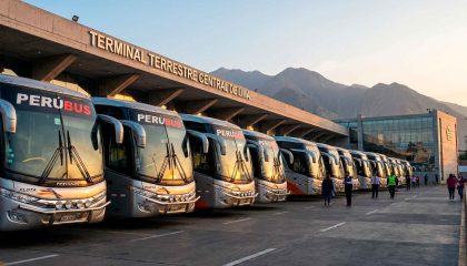 Especialistas en repuestos y accesorios para buses